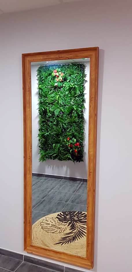 Tikazéla - Escale Tournon-Sur-Rhône