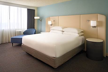 Guest Room, 1 King