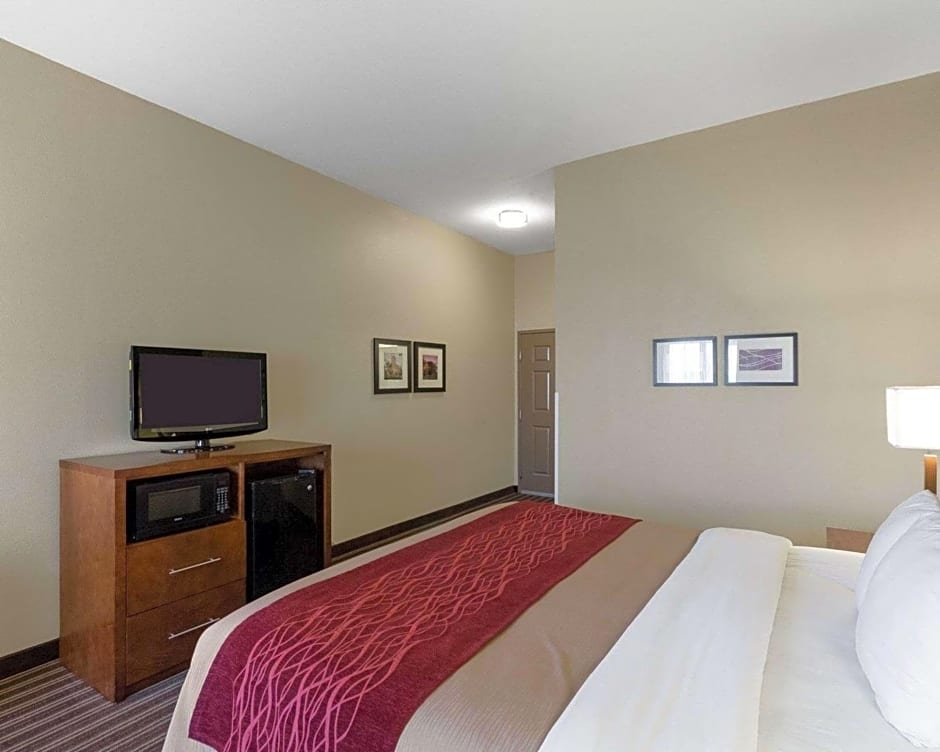 Comfort Inn & Suites Fayetteville-University Area