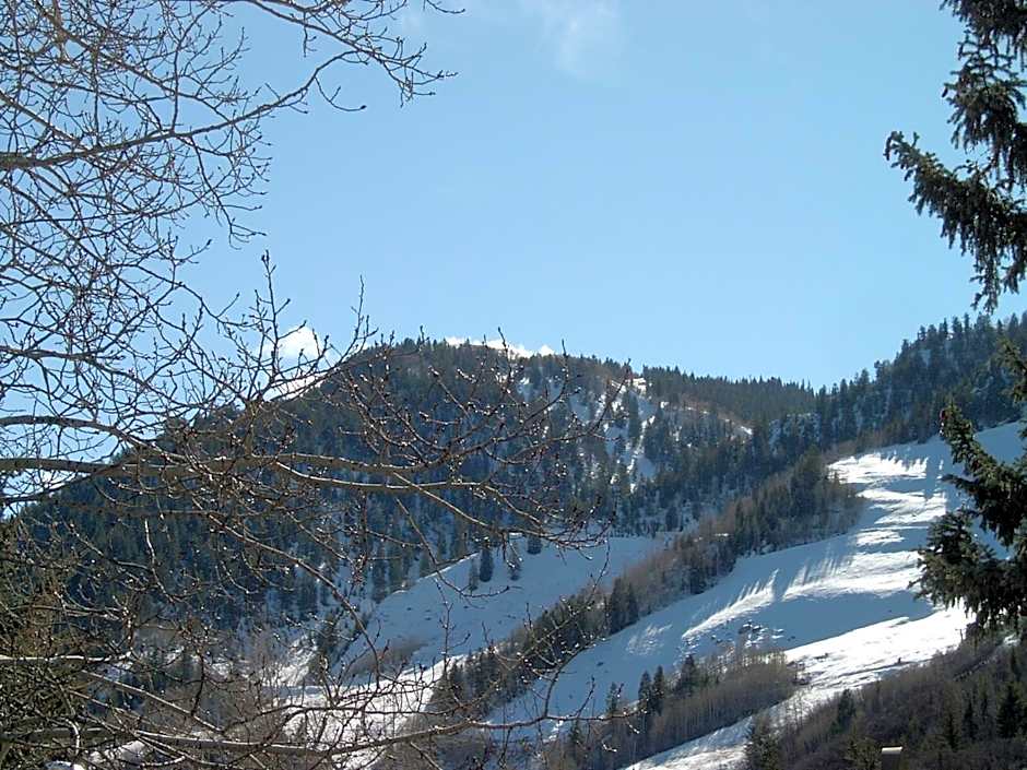 St Moritz Lodge and Condominiums