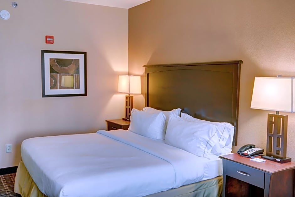 Holiday Inn Express Hotel & Suites Texarkana East, an IHG Hotel