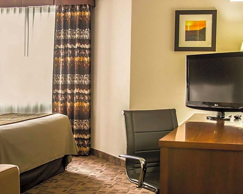 Comfort Inn Birch Run