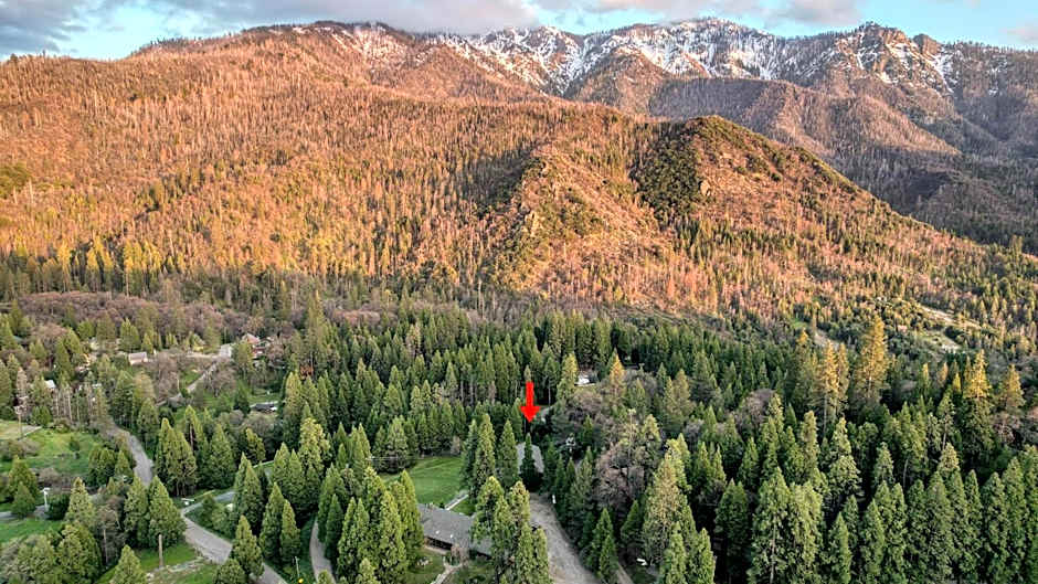 Suite Meadow @CN Lodge# 7