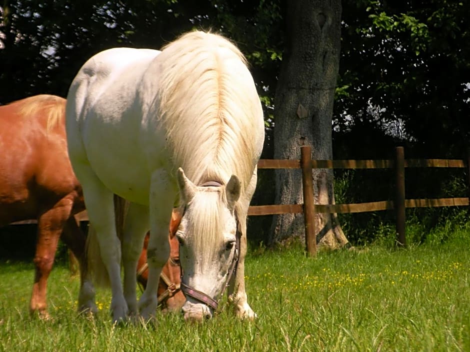 Chambres d'Hôtes " Le Clos des Colimaçons "