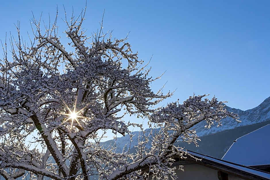 Aparthotel KRONPLATZ Luxury House