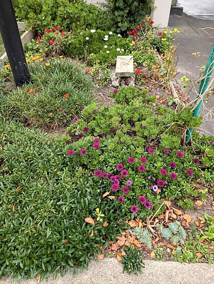 Morwell Parkside Motel