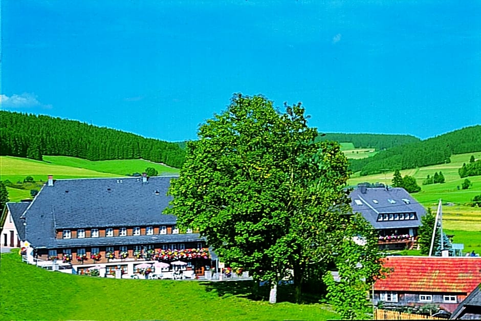 Hotel Zum Löwen - Unteres Wirtshaus