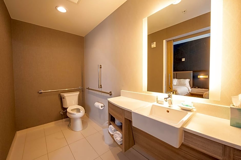 SpringHill Suites by Marriott Dallas McKinney/Allen