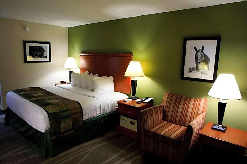 Best Western Celebration Inn & Suites