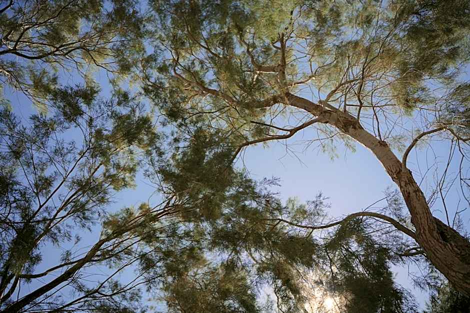 Black Rose Beach Suites