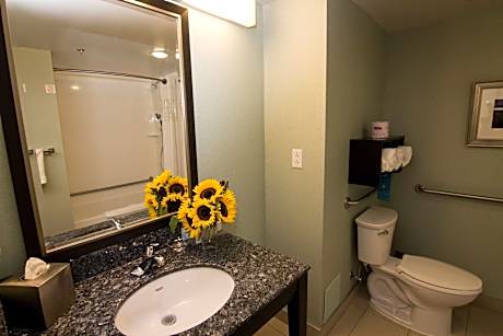 King Room with Accessible Tub - Mobility and Hearing Access/Non-Smoking