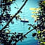 Villa Angelina - Lake View Dreams