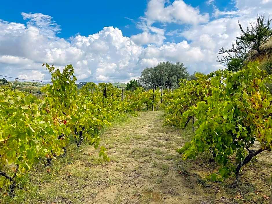 Agriresort Villa Bentivoglio