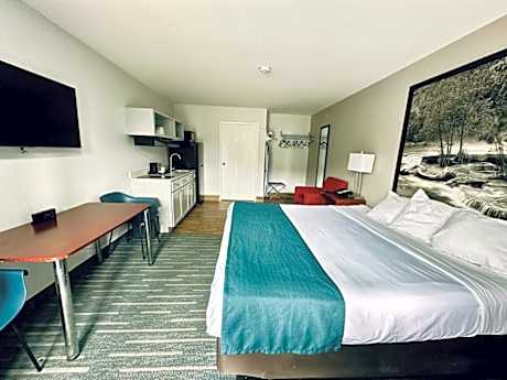 1 King Bed Non-Smoking