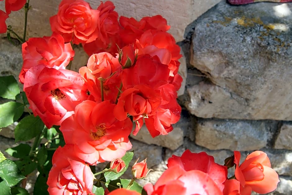 Manoir de la Pataudière B&B