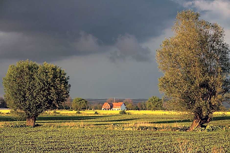 Folwark Żuławski