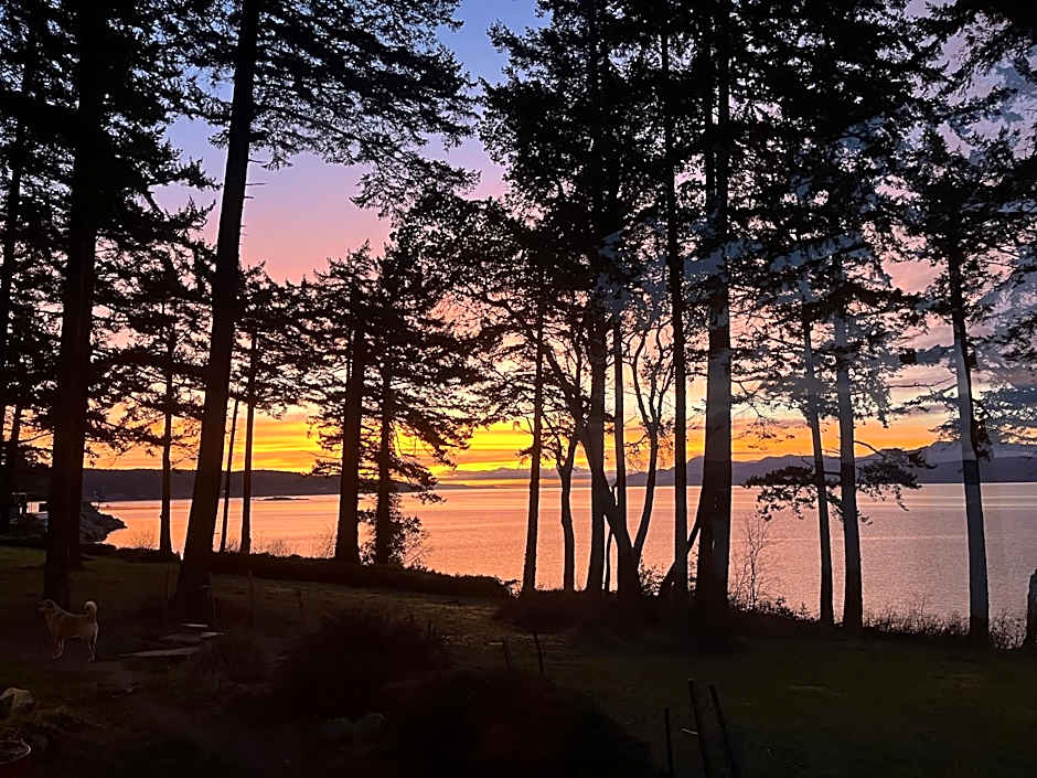 Malaspina Strait Tiny Home