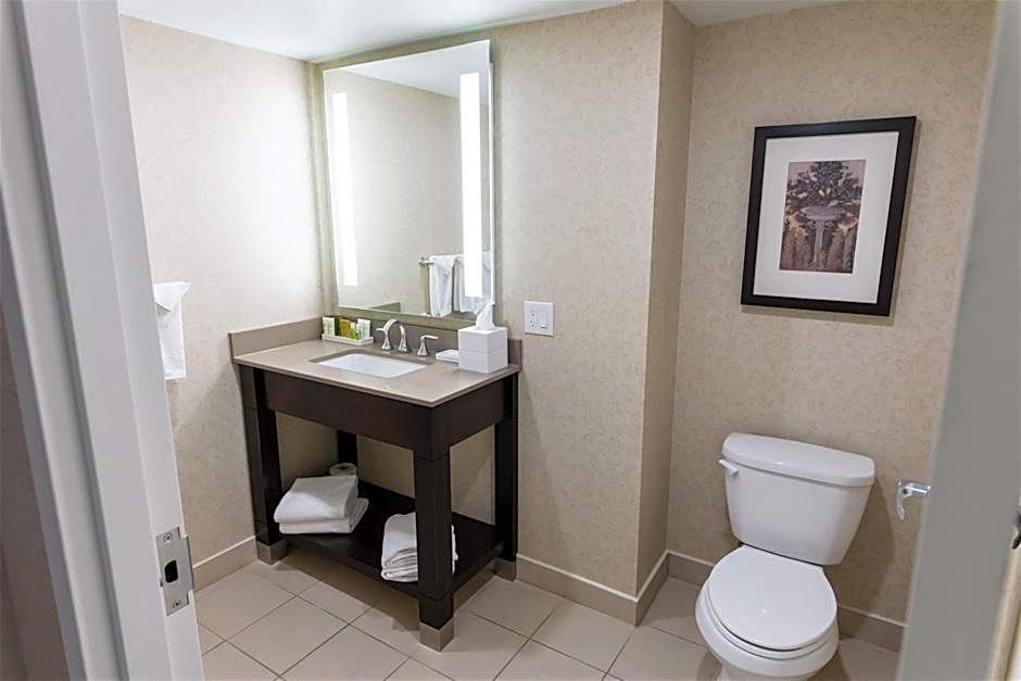 Hilton Niagara Falls-Fallsview Hotel - Suites