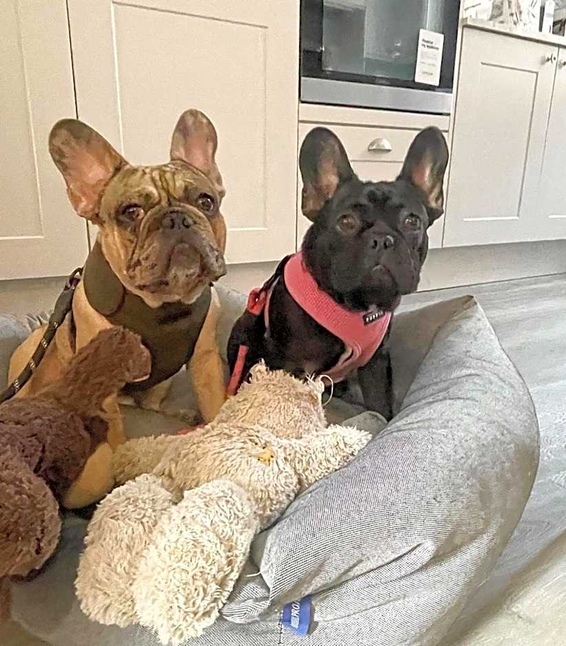 One Warwick Park Hotel