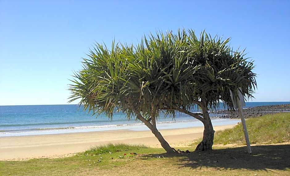 Koola Beach Apartments Bargara