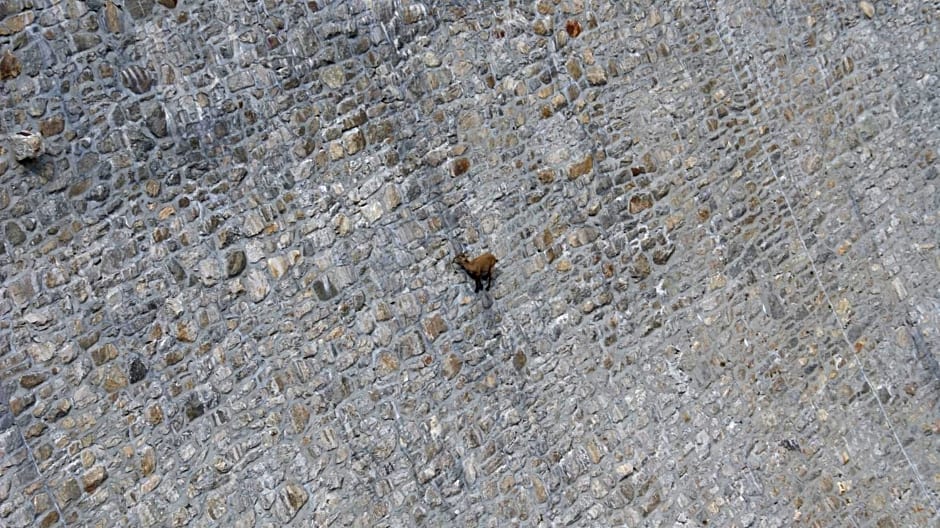 B&B Dove Comincia la Bella Italia