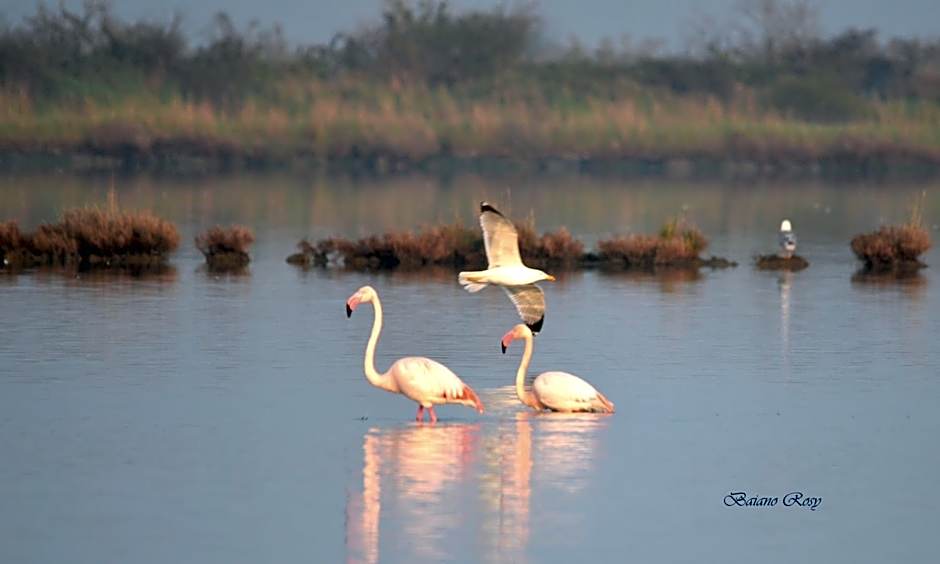 Hotel Eldorado, Depandance & Apartments