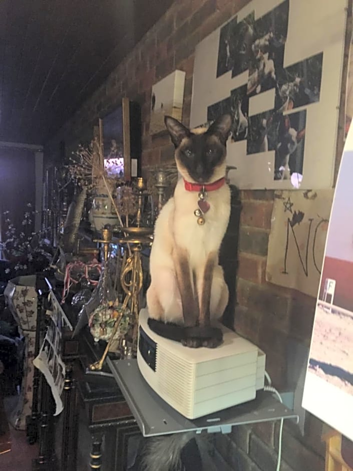 Chiswick Riviera with free parking