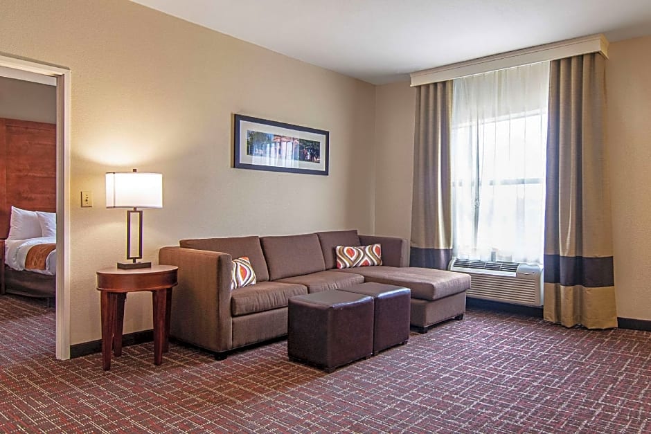 Comfort Suites NW Dallas Near Love Field