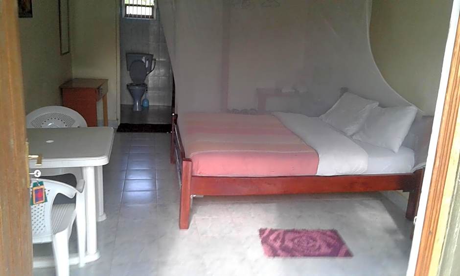 Cactus Eco Camp and Lodge