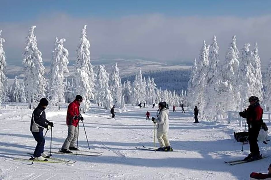 Horský Hotel Arnica