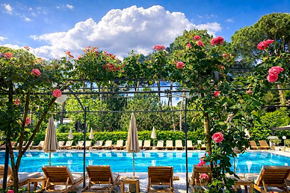 Hotel Greif
