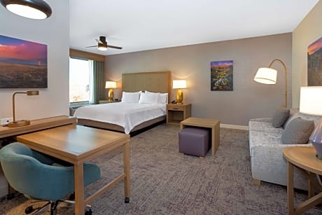 1 King Bed Studio Suite Mountain View