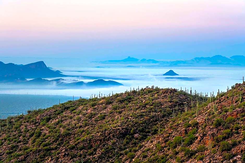 The Ritz-Carlton Dove Mountain
