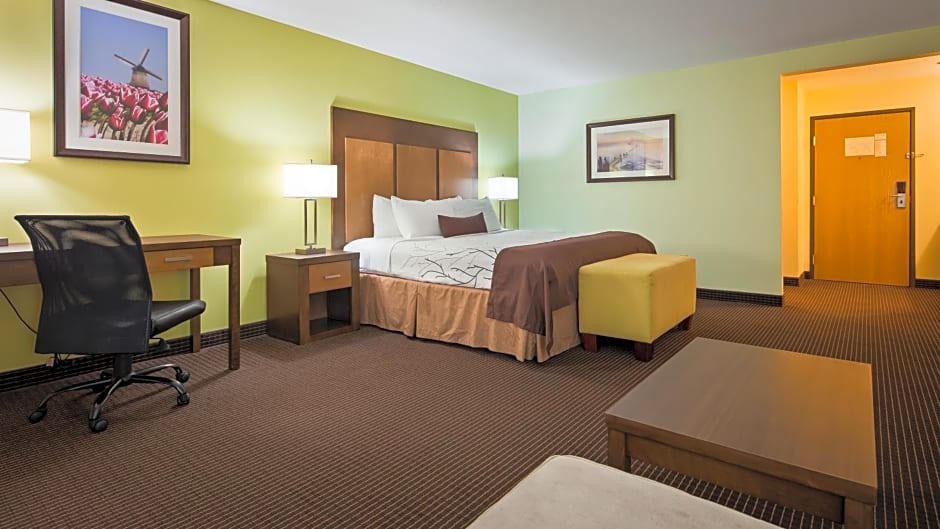 Best Western Plus Holland Inn & Suites