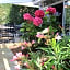 Eraclea Palace Hotel 4 stelle S
