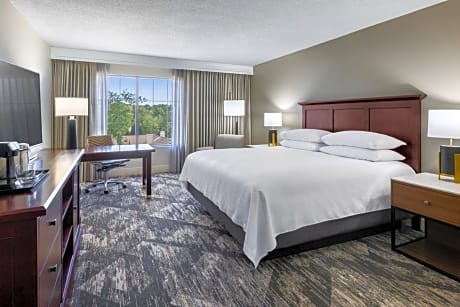 Guest Room, 1 King