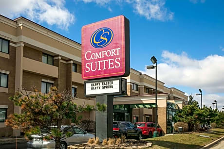 Comfort Suites Chicago/Oakbrook Terrace