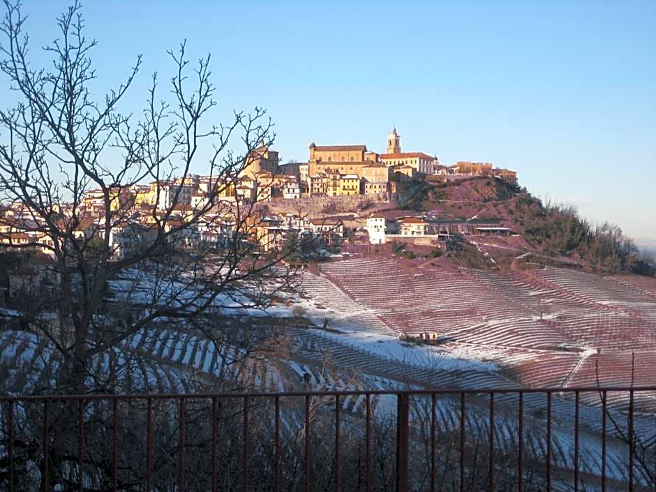 Red Wine Camere