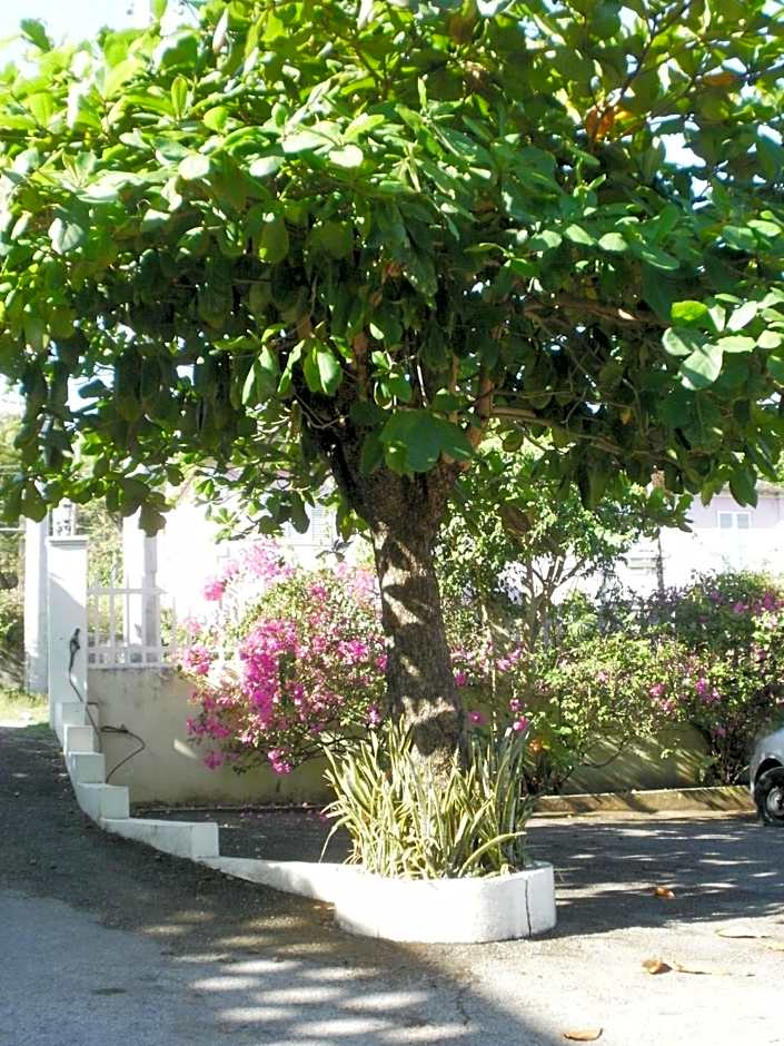 Pineapple Court Hotel