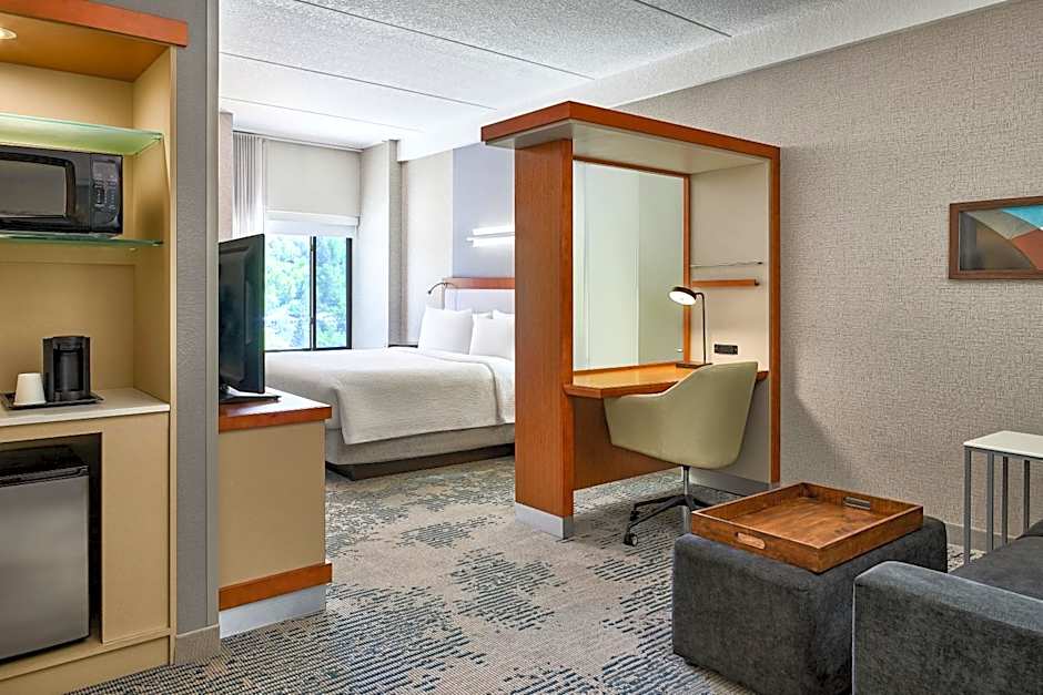 Photo 1 of 15 of 1 King Bed with Sofabed Suite