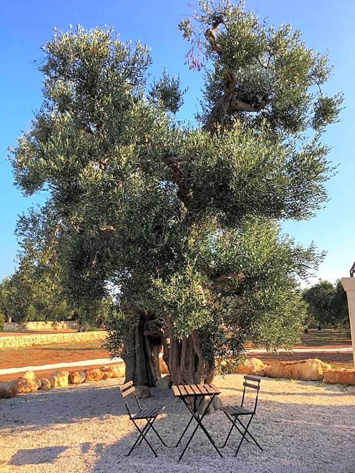 Boutique Hotel Masseria Sottomasi