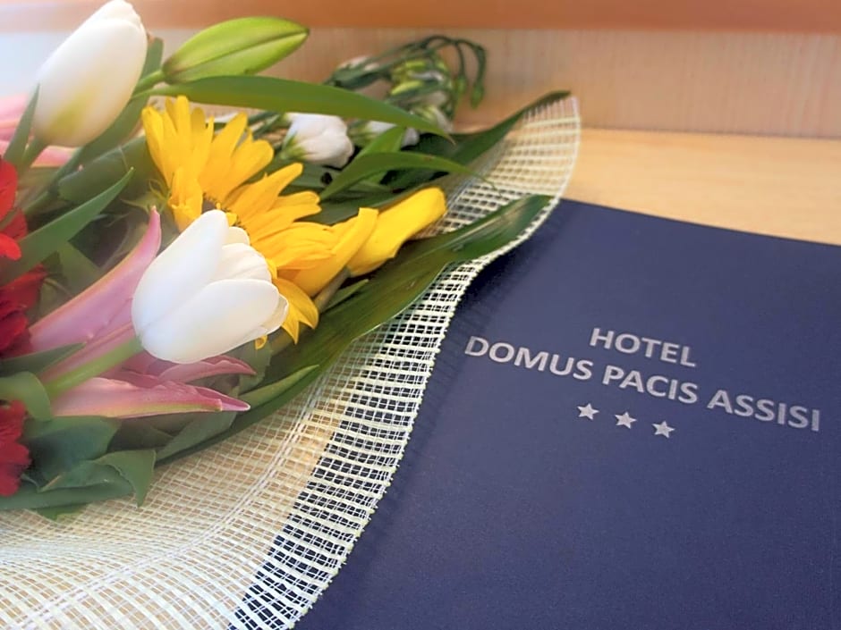 Hotel Domus Pacis