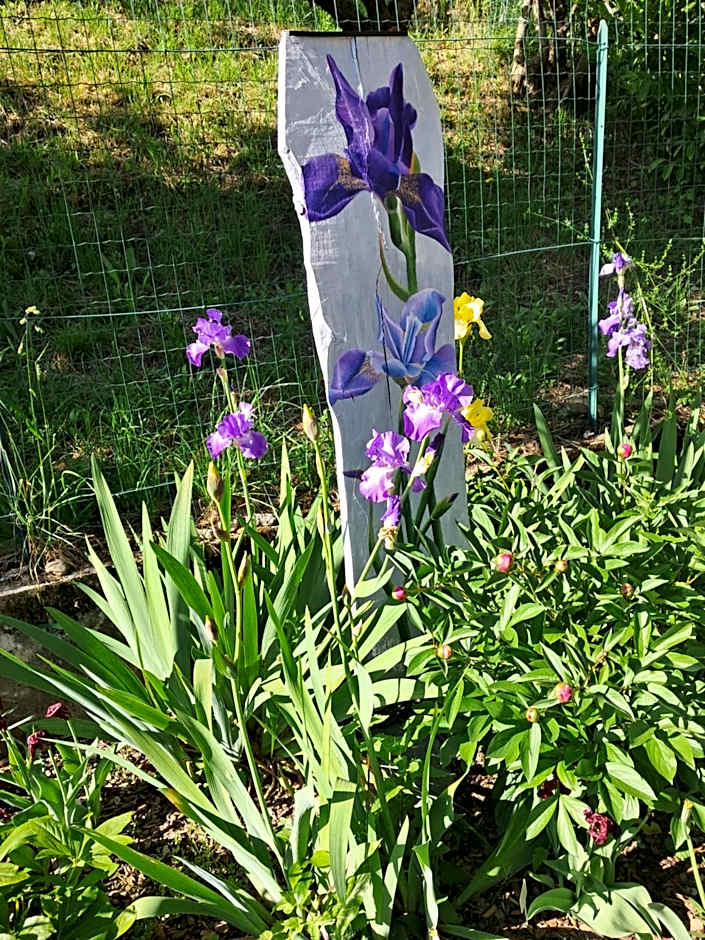 Guesthouse Ostello dell Arte