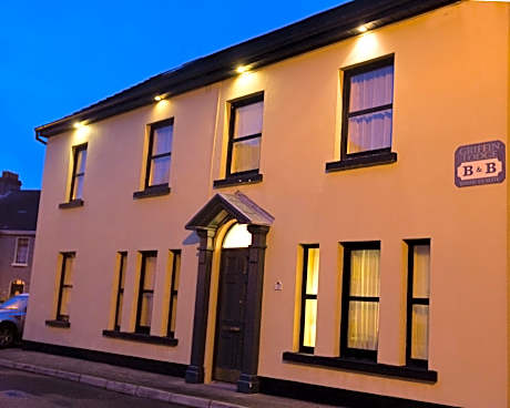 Griffin Lodge - Alojamientos en GALWAY