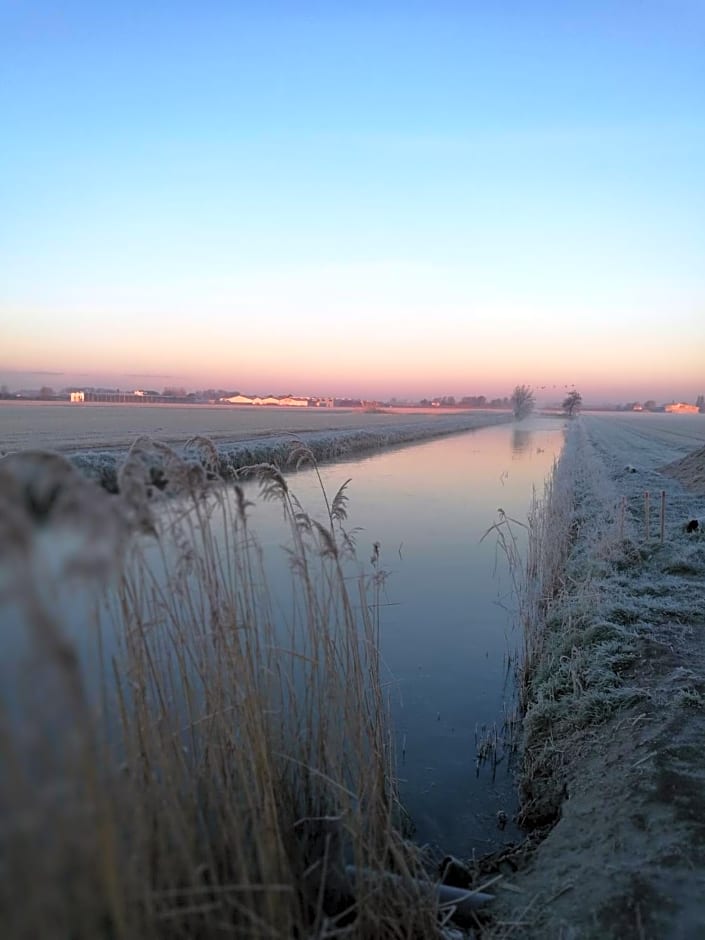 De Groene Bollenschuur