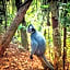 ETALAUSER Jungle Gate EcoResort Bukit Lawang