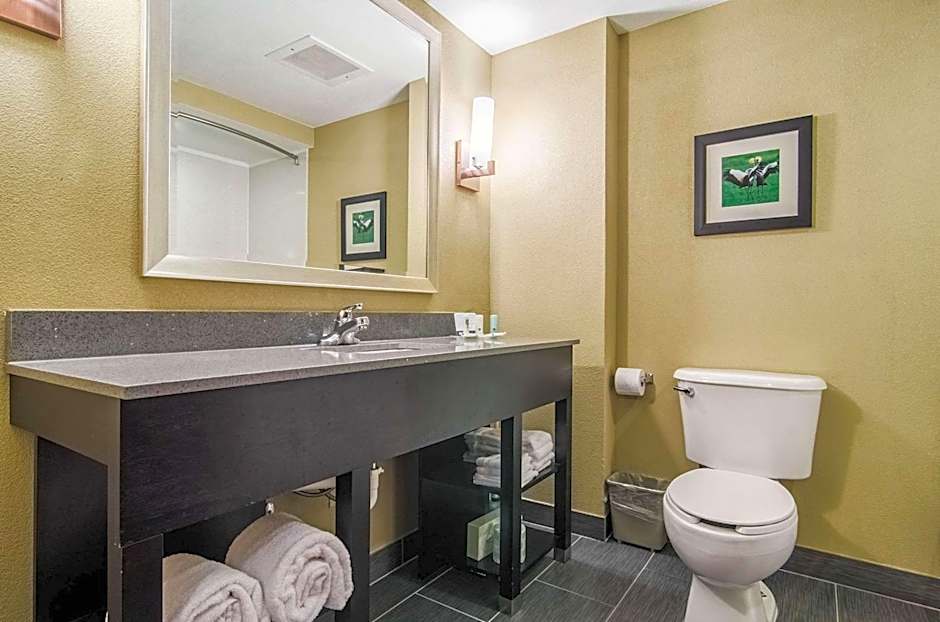 Quality Suites Graham