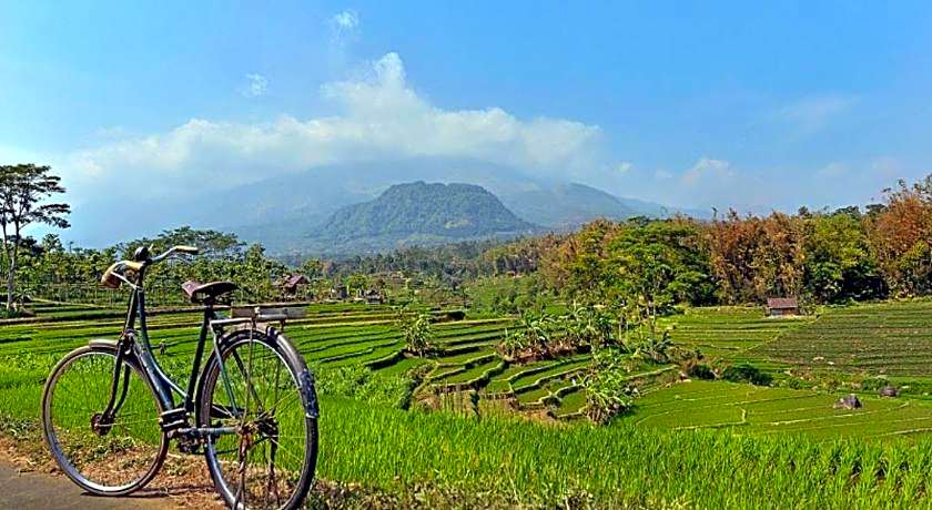 Grand Whiz Hotel Trawas