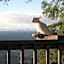 Tamborine Mountain Bed & Breakfast