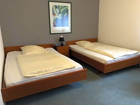 Doppelbett oder zwei Einzelbetten-Superior-Eigenes Badezimmer